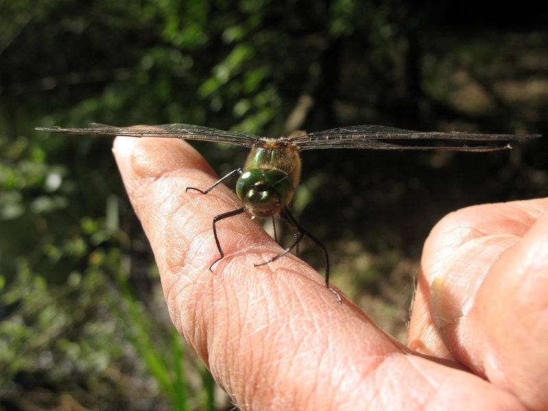 Prête à décoller !